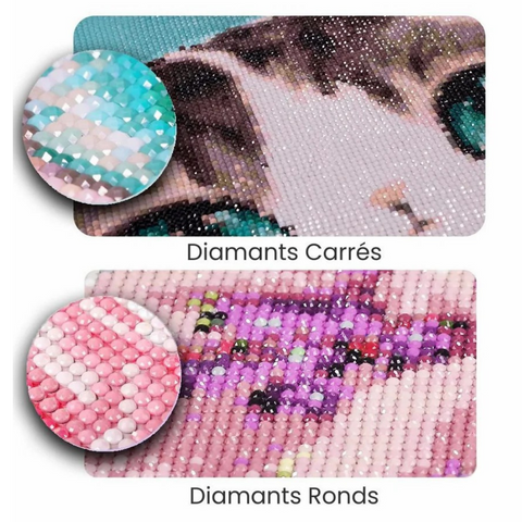 🐯 Broderie Diamant - Tigreau Fleuri 🌸